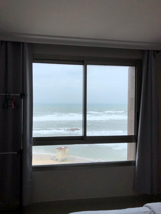 Almog Tower Aparthotel Haifa Bagian luar foto